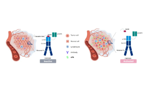 時(shí)邁藥業(yè)